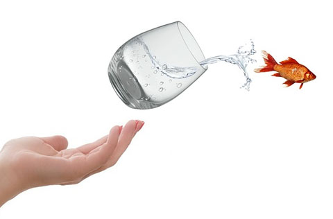 英語の挫折の退路を断つ4つの方法 黒坂岳央の超 英語ブログ 英語多読サイト